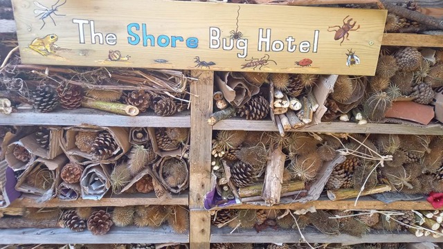 Photo of our bug hotel!